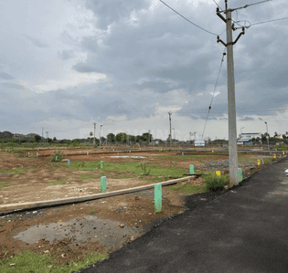 Project Images