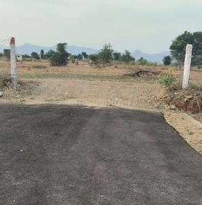 Project Images