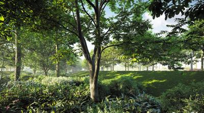 Project Image of 0.0 - 11250.0 Sq.ft Residential Plot Plot for buy in The Park By Repose