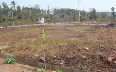 Project Image of 2700.0 - 9000.0 Sq.ft Residential Plot Plot for buy in Valmark Classic County