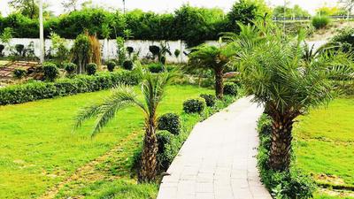 Project Image of 450.04 - 2700.02 Sq.ft Residential Plot Plot for buy in Harit Homes Residential Plots