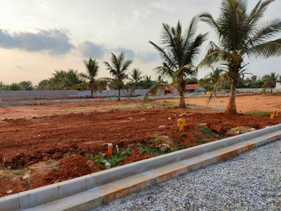 Project Image of 541.1 - 5995.5 Sq.ft Residential Plot Plot for buy in Pionier Central Avenue