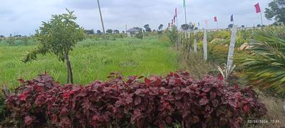 Project Image of 2700.0 - 5400.0 Sq.ft Agricultural Land Agricultural Land for buy in Tulip Farm