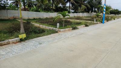 Project Image of 1200.0 - 1500.0 Sq.ft Residential Plot Plot for buy in Royale Properties Bethel Phase 1