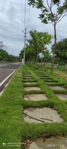 Project Image of 1420.3 - 7688.34 Sq.ft Residential Plot Plot for buy in Sia Elite Serene Palms