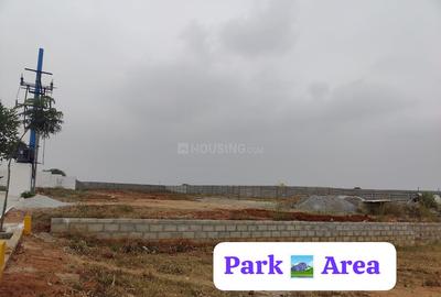 Project Image of 800.0 - 1300.0 Sq.ft Residential Plot Plot for buy in Pruthvi Asset