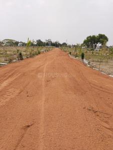 Project Image of 1089.0 - 3267.0 Sq.ft Agricultural Land Agricultural Land for buy in Sahuri Green Leaf