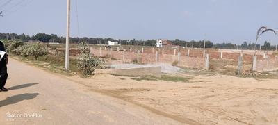 Project Image of 0.0 - 1000.0 Sq.ft Residential Plot Plot for buy in Smap Palm Residency