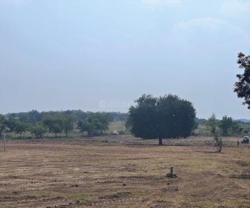 Project Image of 3595.15 - 48599.06 Sq.ft Residential Plot Plot for buy in Ridge Kshetra