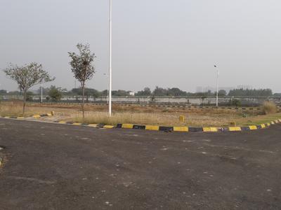 Orris Curio City Plots Images for Project 1