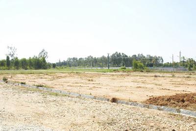 Project Image of 1200.0 - 2400.0 Sq.ft Residential Plot Plot for buy in Maxworth Max Blossom