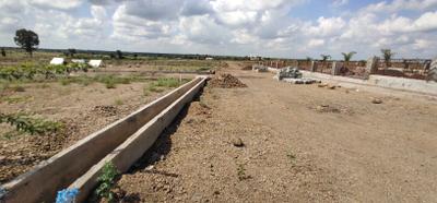 Project Images