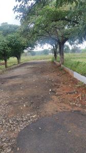 Project Image of 1800.0 - 3600.0 Sq.ft Residential Plot Plot for buy in CK Infini Breeze County