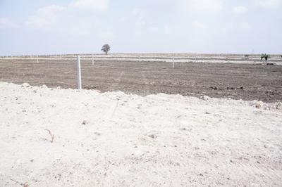 Project Image of 0.0 - 2178.0 Sq.ft Residential Plot Plot for buy in SB Lotus Park