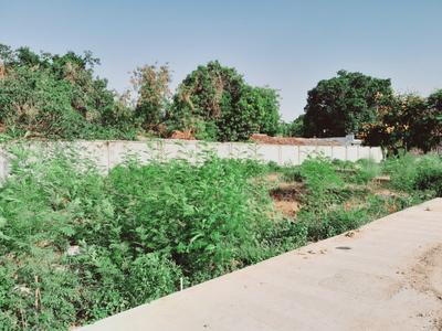 Project Image of 1179.0 - 1677.23 Sq.ft Residential Plot Plot for buy in Vrindavan Vihar