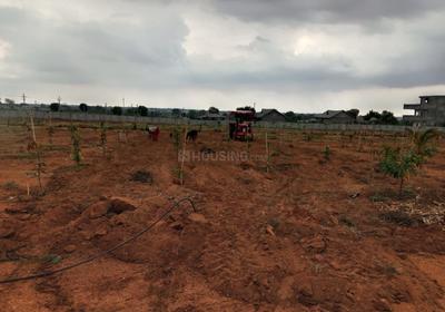 Project Image of 1350.0 - 2700.0 Sq.ft Residential Plot Plot for buy in Vision Siri Vanam