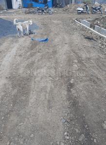 Project Image of 387.5 - 1302.22 Sq.ft Residential Plot Plot for buy in Harsh Vihar