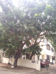 Project Image of 1200.0 - 1515.0 Sq.ft 3 BHK Apartment for buy in Shreyas Apartments