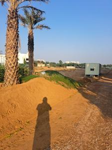 Project Image of 1114.0 - 1611.0 Sq.ft Residential Plot Plot for buy in Pyramid Palm County