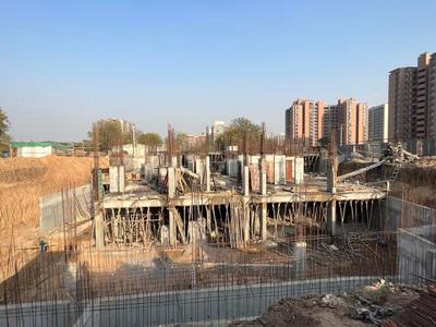 Project Image of 807.19 - 889.42 Sq.ft 3 BHK Apartment for buy in Shivaay Satva