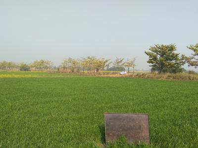 Project Image of 599.98 - 3000.01 Sq.ft Residential Plot Plot for buy in City Sapphire Park