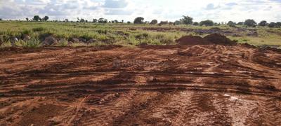 Project Image of 1350.0 - 4770.0 Sq.ft Residential Plot Plot for buy in Sandstone Evergreen City