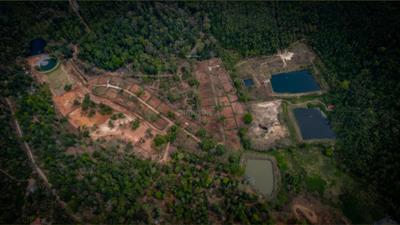 Project Image of 5500.0 - 11000.0 Sq.ft Residential Plot Plot for buy in Lost In The Woods