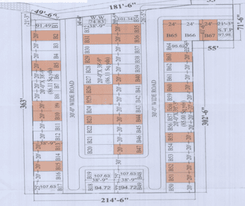 AMG Yellow Leaf Master Plan 1