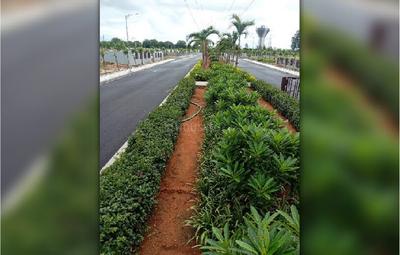 Project Image of 1332.36 - 2588.18 Sq.ft Residential Plot Plot for buy in Sterling Aster Meadows