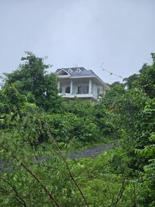 Project Image of 1390.0 - 4145.0 Sq.ft Residential Plot Plot for buy in Emerald Coconut Grove