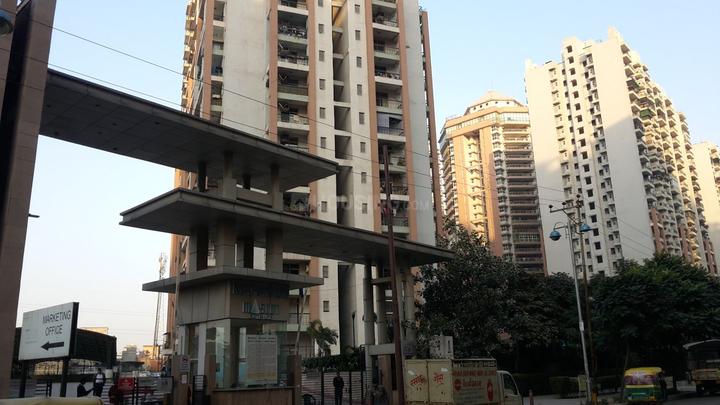 Mahagun Mascot - Image 3