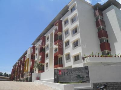 Project Image of 480.0 - 715.0 Sq.ft 1 BHK Apartment for buy in RedBricks Bricks Village Phase II