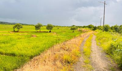 Project Image of 1000.0 - 10000.0 Sq.ft Residential Plot Plot for buy in Capstone Land Plots In Ranjanpada