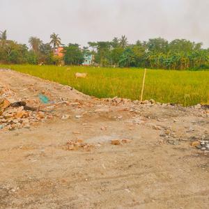 Project Image of 720.0 - 2880.0 Sq.ft Residential Plot Plot for buy in Sonamukhi Township
