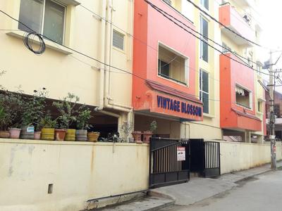 Project Image of 0.0 - 1089.0 Sq.ft 2 BHK Apartment for buy in Vintage Blossom