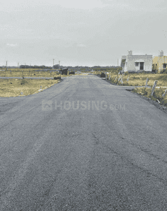 Project Images