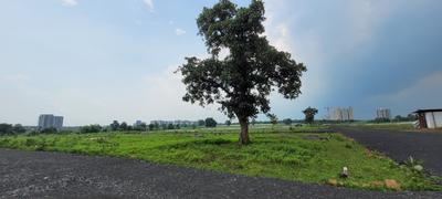 Project Image of 1100.0 - 3000.0 Sq.ft Residential Plot Plot for buy in ANJANEYA NAGAR V