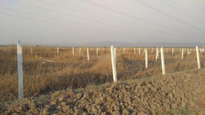 Project Image of 1000.0 - 10000.0 Sq.ft Residential Plot Plot for buy in Towncity Plots In Pen