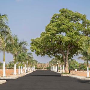 Project Image of 4200.0 - 5525.0 Sq.ft Residential Plot Plot for buy in Shriram Malhaar