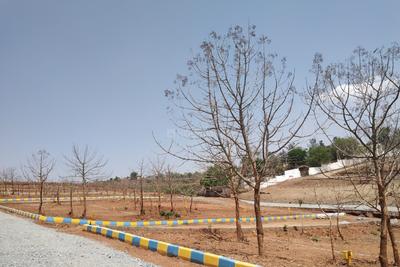 Project Image of 1200.0 - 1500.0 Sq.ft Residential Plot Plot for buy in Richmond Pearl City