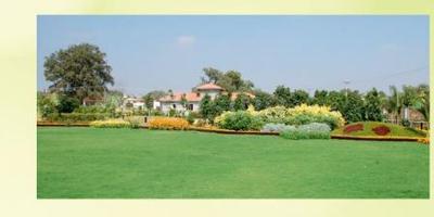 Project Image of 1345.49 - 6479.87 Sq.ft Residential Plot Plot for buy in TMR Swiss County