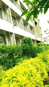 Project Image of 373.83 - 616.66 Sq.ft 1 BHK Apartment for buy in Grow Riverside Greens
