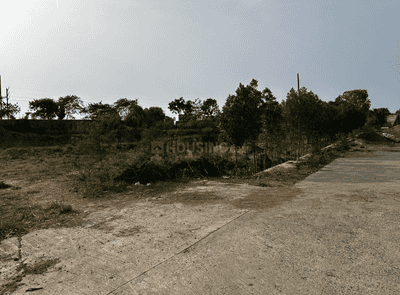 Project Images