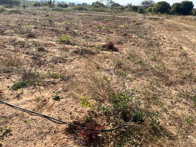 Project Image of 5000.0 - 15000.0 Sq.ft Residential Plot Plot for buy in Sanvi Sandalwood