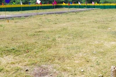 Project Image of 600.0 - 4000.0 Sq.ft Residential Plot Plot for buy in Madras Royal Garden Villa Plots