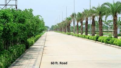 Project Image of 1125.0 - 2250.0 Sq.ft Residential Plot Plot for buy in NDLC City I Plots