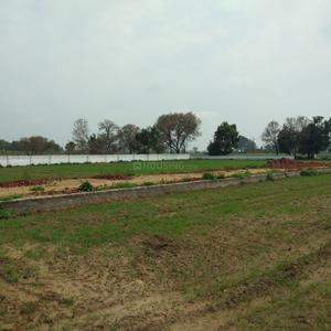 Project Image of 450.0 - 10350.0 Sq.ft Residential Plot Plot for buy in Shubham Jewar City