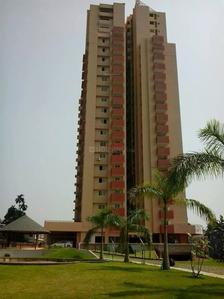 Oceanus Maple Elevation 2