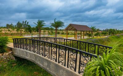 Project Image of 1200.0 - 5400.0 Sq.ft Residential Plot Plot for buy in SPA Eco City