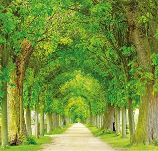 Project Image of 1080.0 - 1611.0 Sq.ft Residential Plot Plot for buy in JMS The Nation